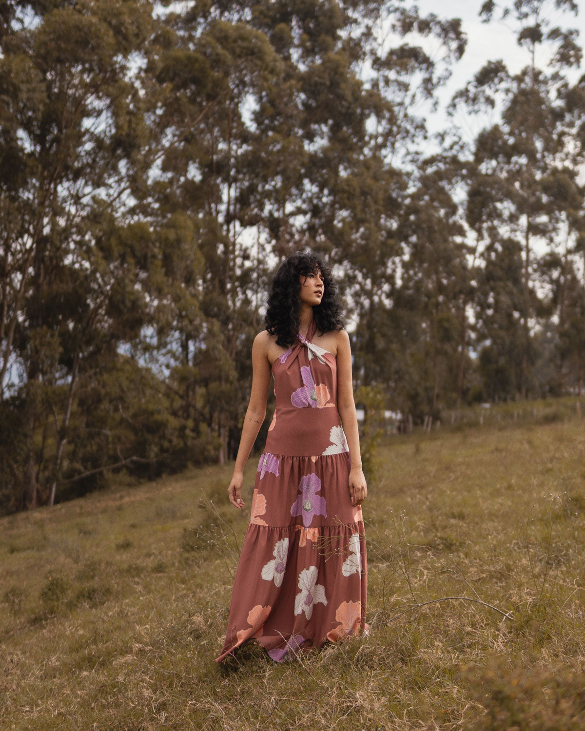 Vestido Cambria Café